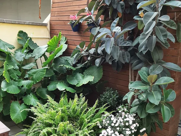 Piso en Calle Mossèn Molé, 29, Rocafonda, Rocafonda - Foto 4
