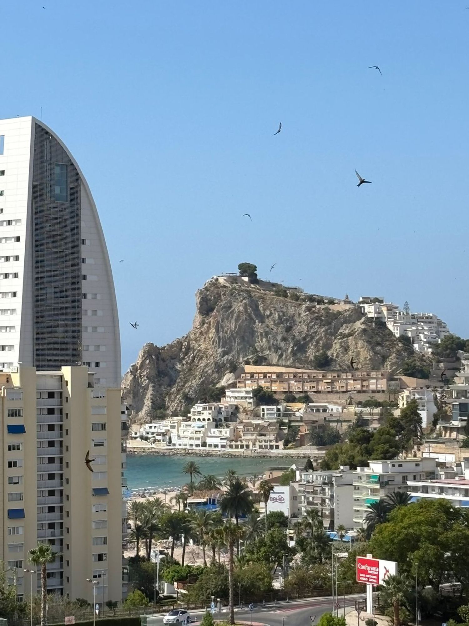 Piso en Avenida Marina Alta, 2, Playa de Poniente, Playa de Poniente - Foto 8
