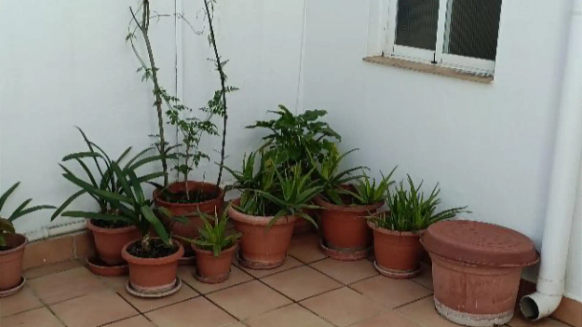 Piso en  Passatge de la Mare de Déu de la Balma 26 - Foto 17