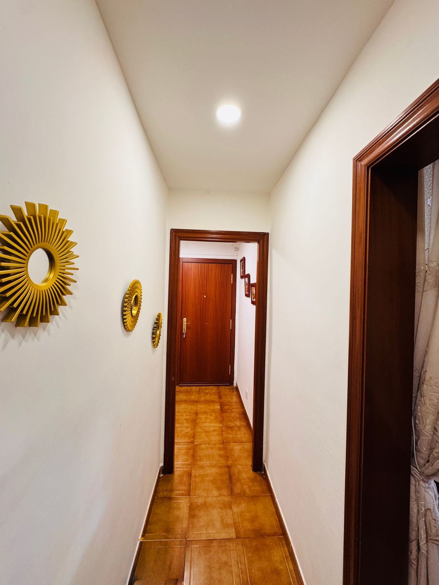 Piso en Calle Anastasi Pinós, 45, Pardinyes, Pardinyes - Foto 3
