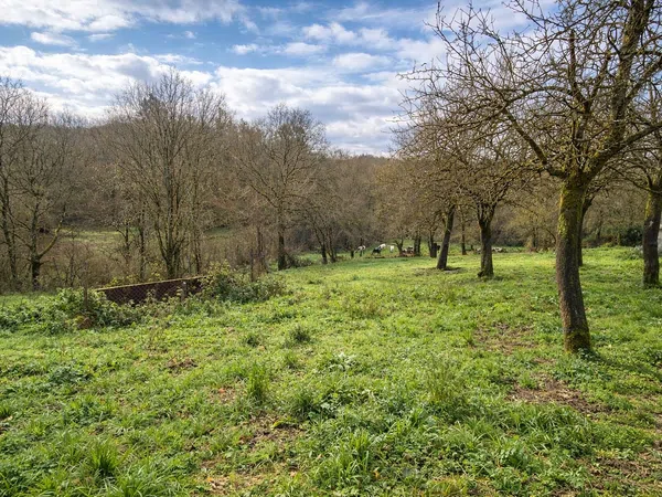 Casa rural en Raxas, 1 - Foto 2