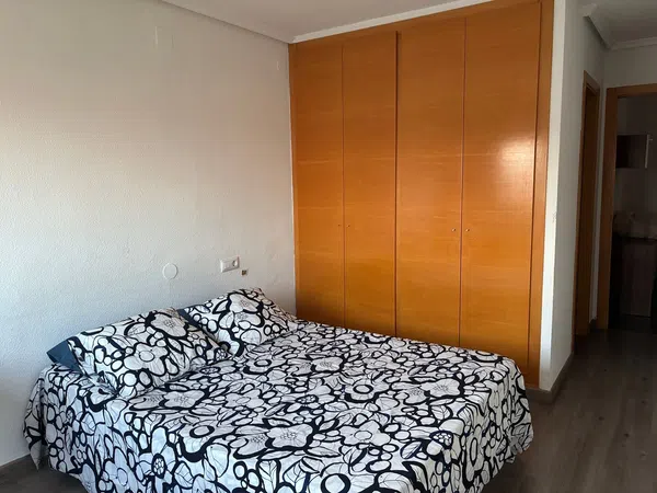 Piso en Avenida de Blasco Ibáñez, 153, La Carrasca - Foto 14