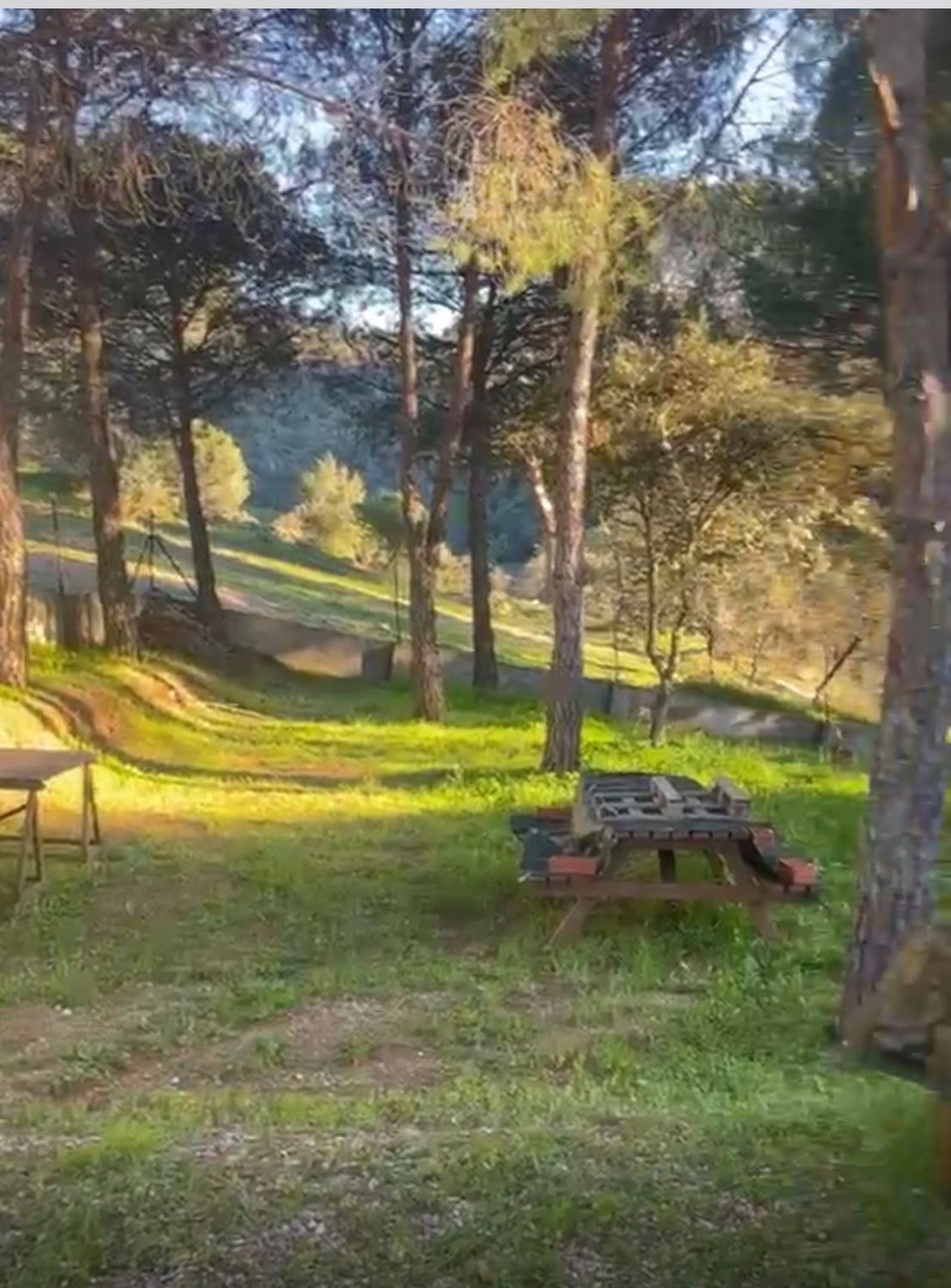 Finca rústica en Diseminados puente San Juan, 57 - Foto 18