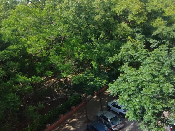 Piso en Calle de Mariano de Cavia, 43, Sant Isidre - Foto 7