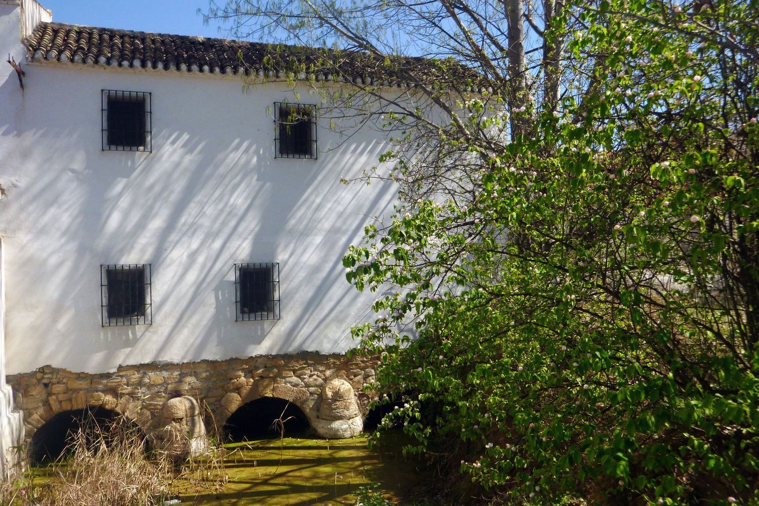 Cortijo en Calle Molino, 1 - Foto 16