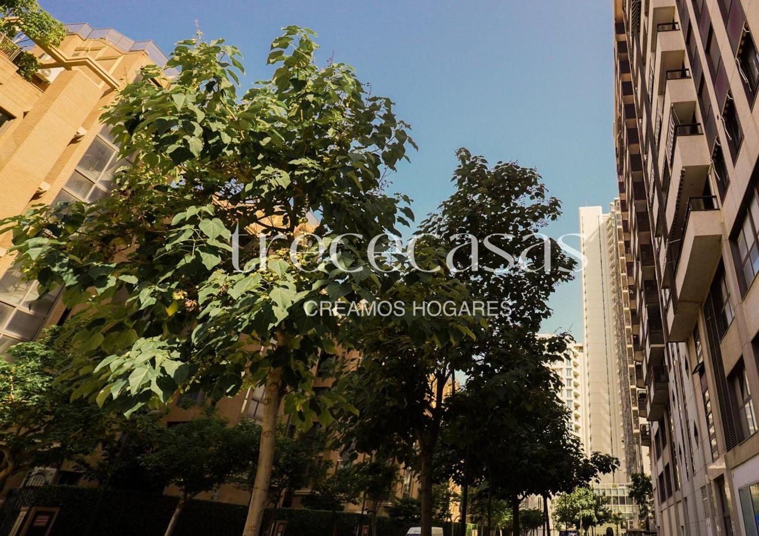 Piso en Avenida de les Corts Valencianes, Sant Pau - Foto 8
