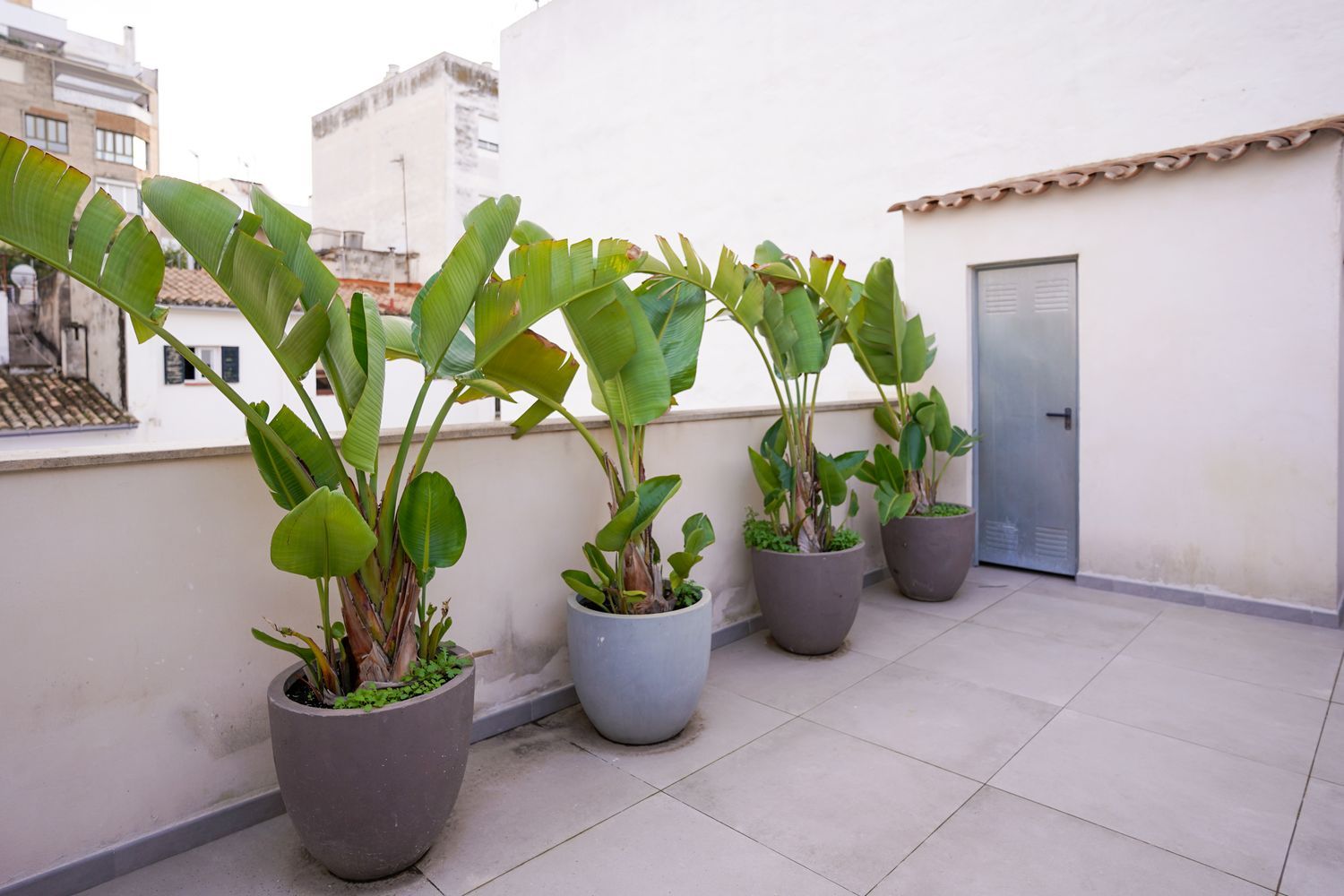 Piso en calle de Ticià, 17 - Foto 24