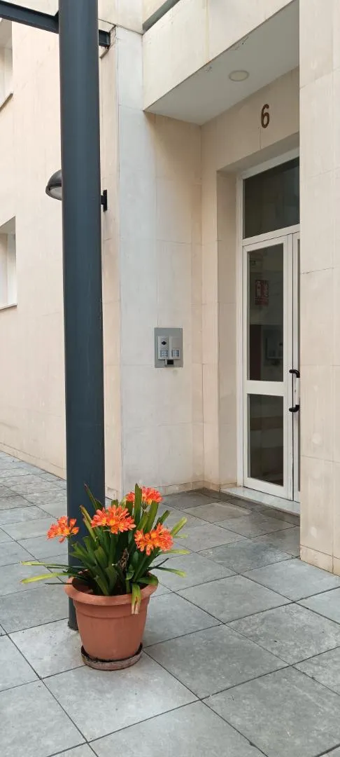 Piso en  Avenida de la Buhaira 11 - Foto 1