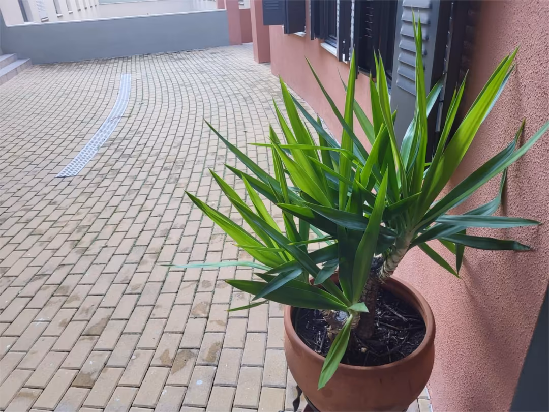 Piso en  Avenida de Jerez 1 - Foto 18