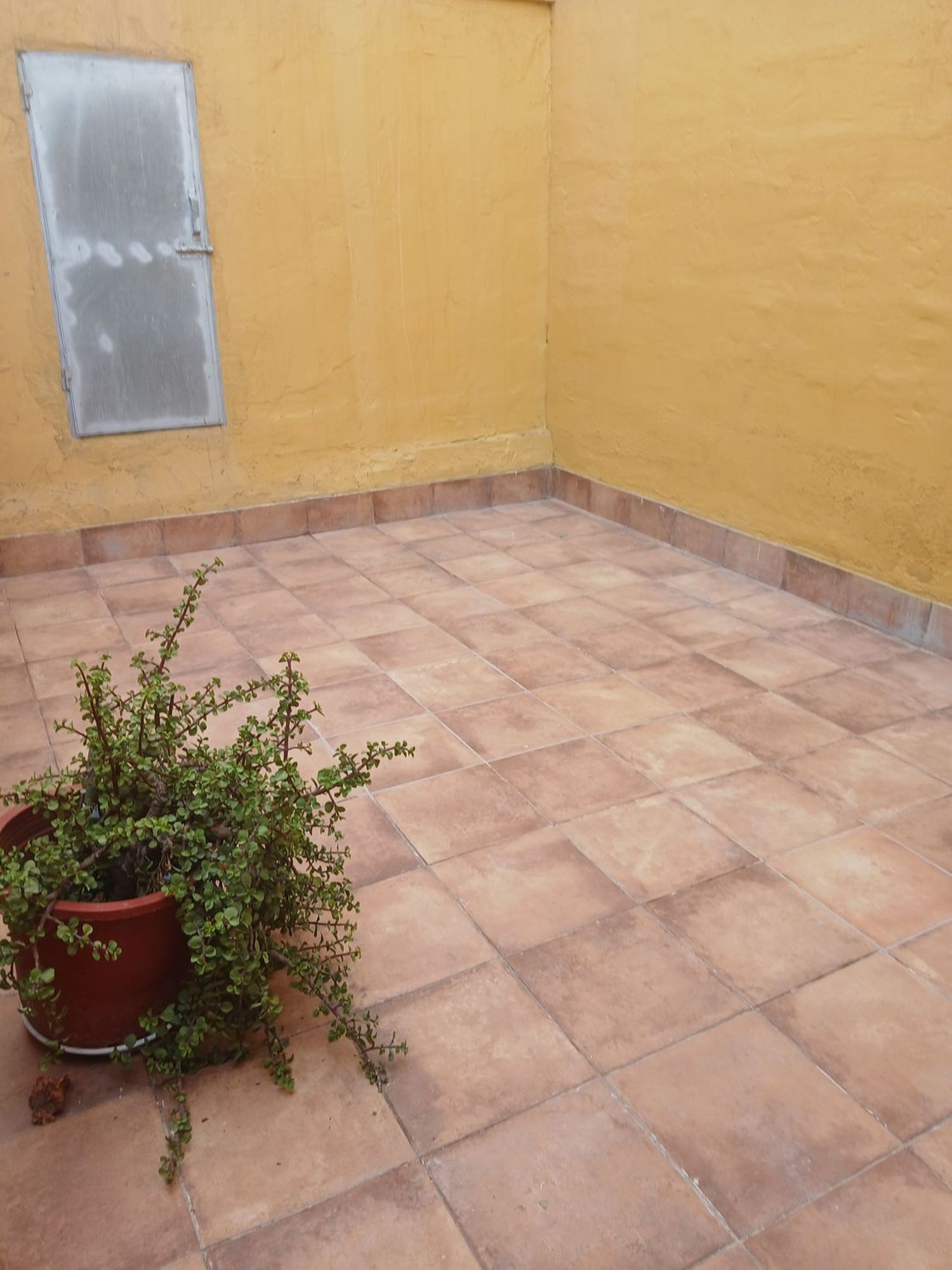 Casa o chalet independiente en Calle León y Castillo, 13, Ingenio, Ingenio - Foto 4