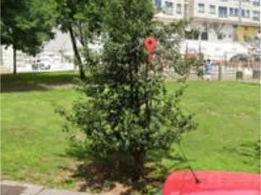 Piso en Villagarcía de Arosa - Foto 1