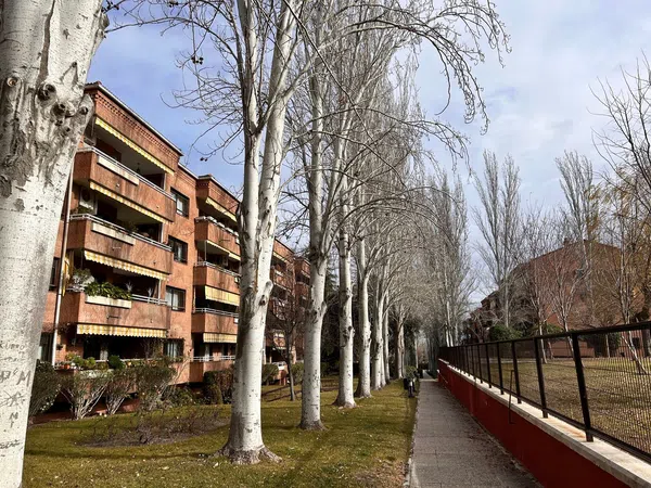 Piso en Calle Solano, Prado de Somosaguas - Foto 56
