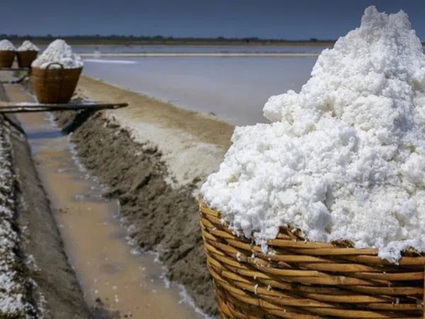 Piso en Costa de la Pols, 9 - Foto 21