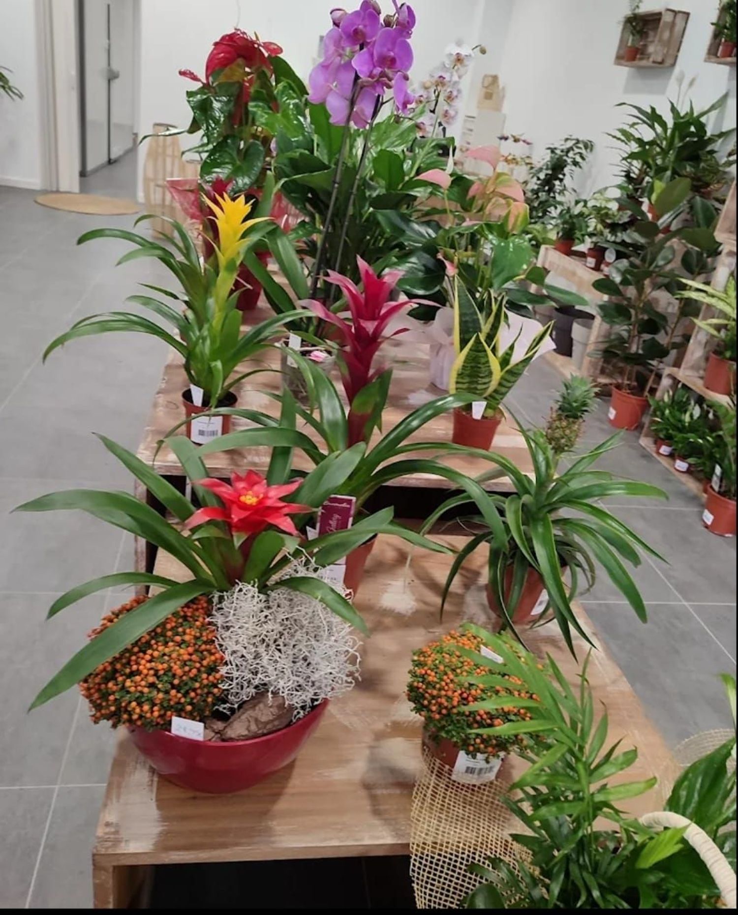 Local en Floristería en Eixample, Eixample - Foto 5