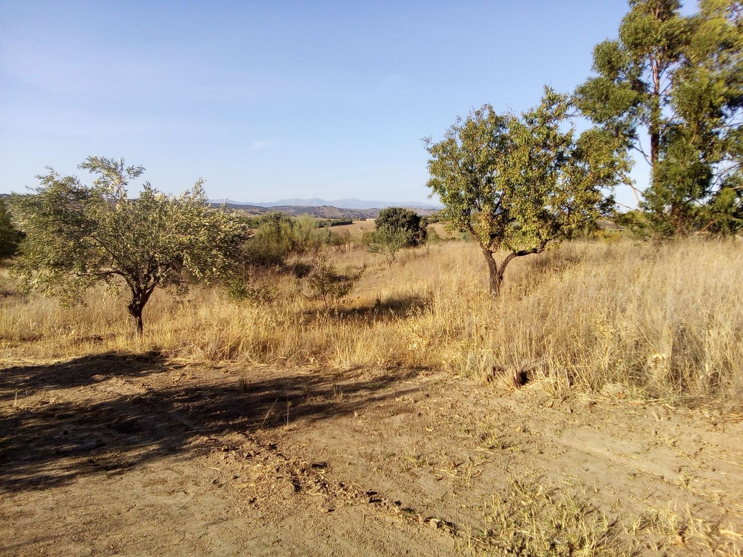 Finca rústica en camino de las laderas, 45 - Foto 3