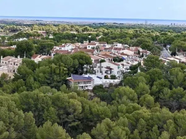 Casa o chalet independiente en Calle Lirio, 77, Pinar de Campoverde, Pinar de Campoverde - Foto 14