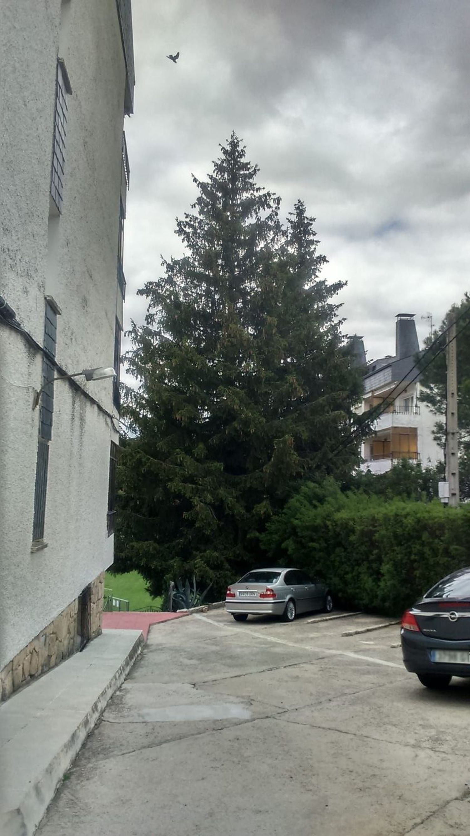 Dúplex en Calle Francisco de Zurbaran, 39 - Foto 12