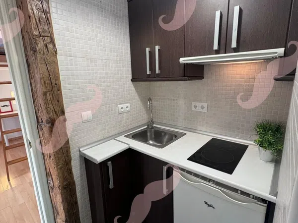 Estudio en Calle de la Torrecilla del Leal, 30, Lavapiés-Embajadores - Foto 10