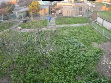 Finca rústica en  Camiño da Verdella 43 - Foto 3