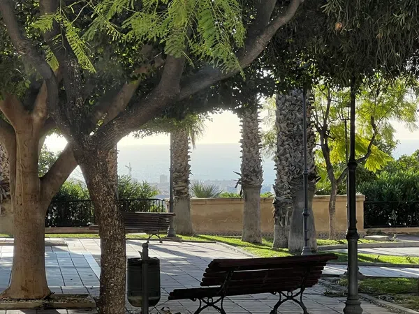 Estudio en calle de la Nit, 1 - Foto 3