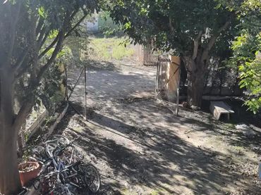 Finca rústica en  Paraje Casas de Menor 67 - Foto 4