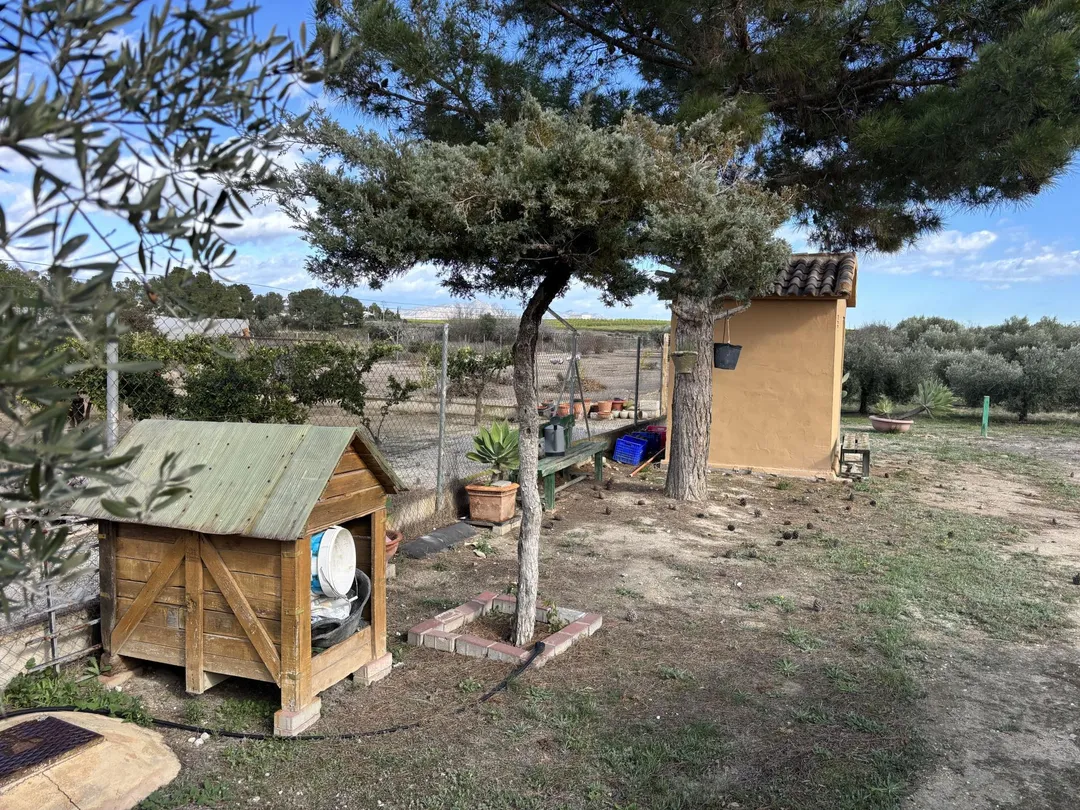 Finca rústica en  Calle Fc Ladrillo 11 - Foto 6