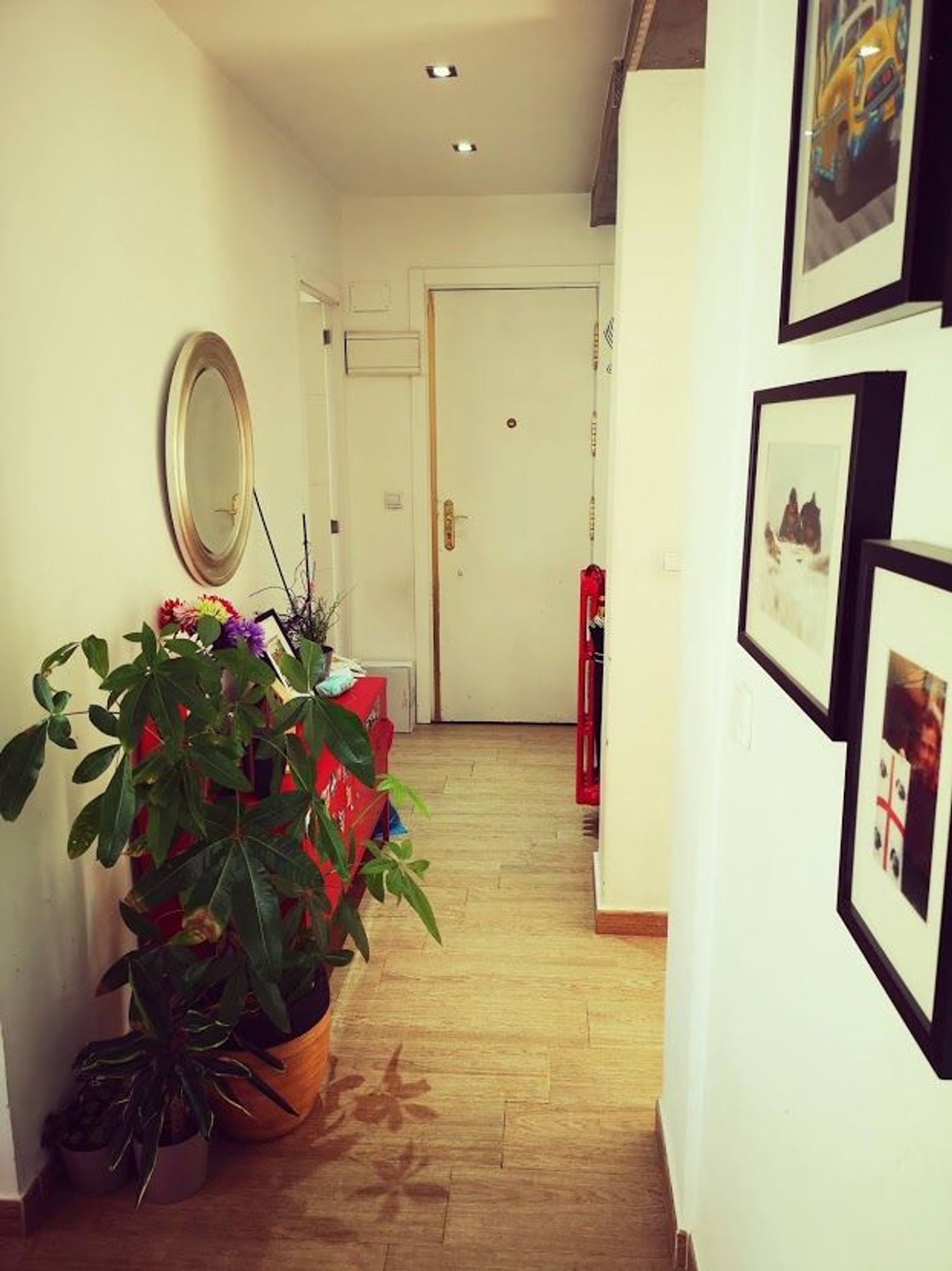 Piso en Calle de Linneo, 37, Imperial - Foto 21