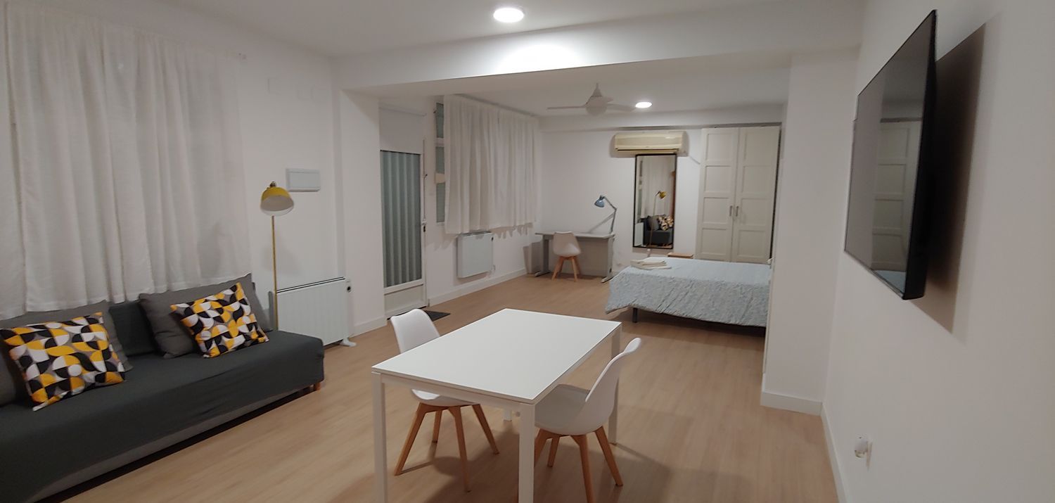 Estudio en Circunvalación Encina, 21, La Chana, La Chana - Foto 4