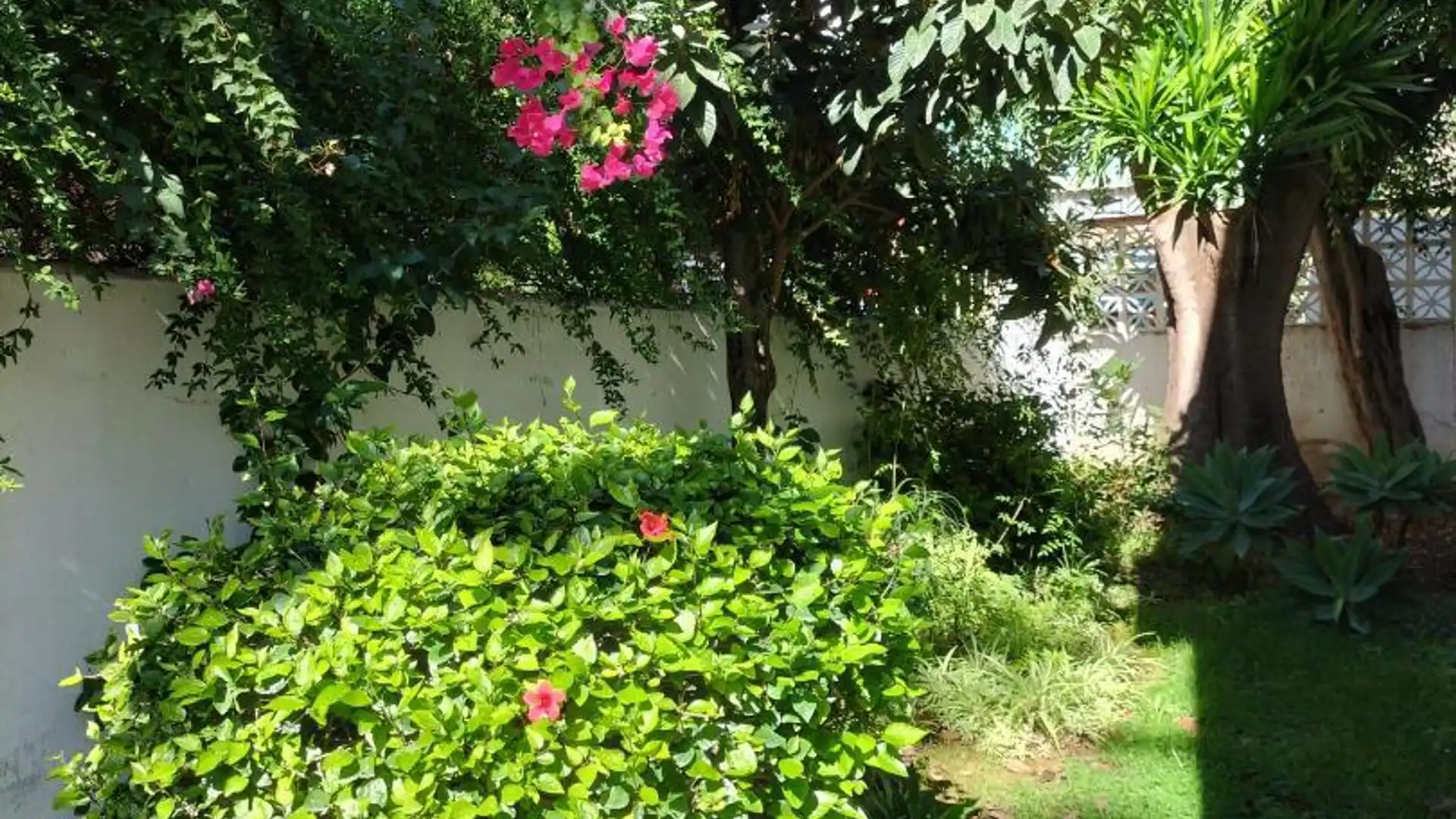 Piso en  Calle Pablo Casals 11D - Foto 7