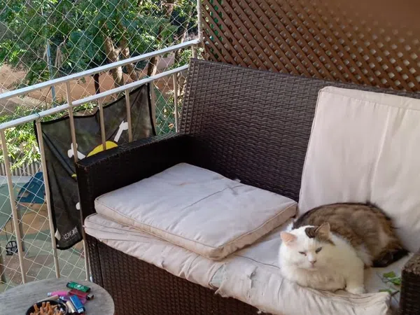 Piso en calle Francesc Layret, 59 - Foto 1