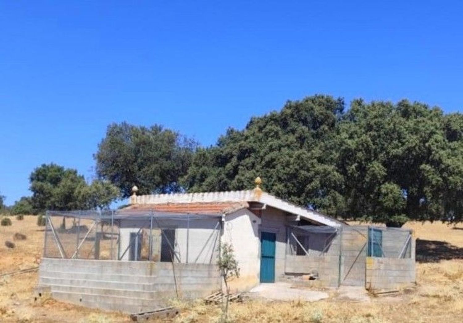 Finca rústica en Avenida de Constitución s/n - Foto 24