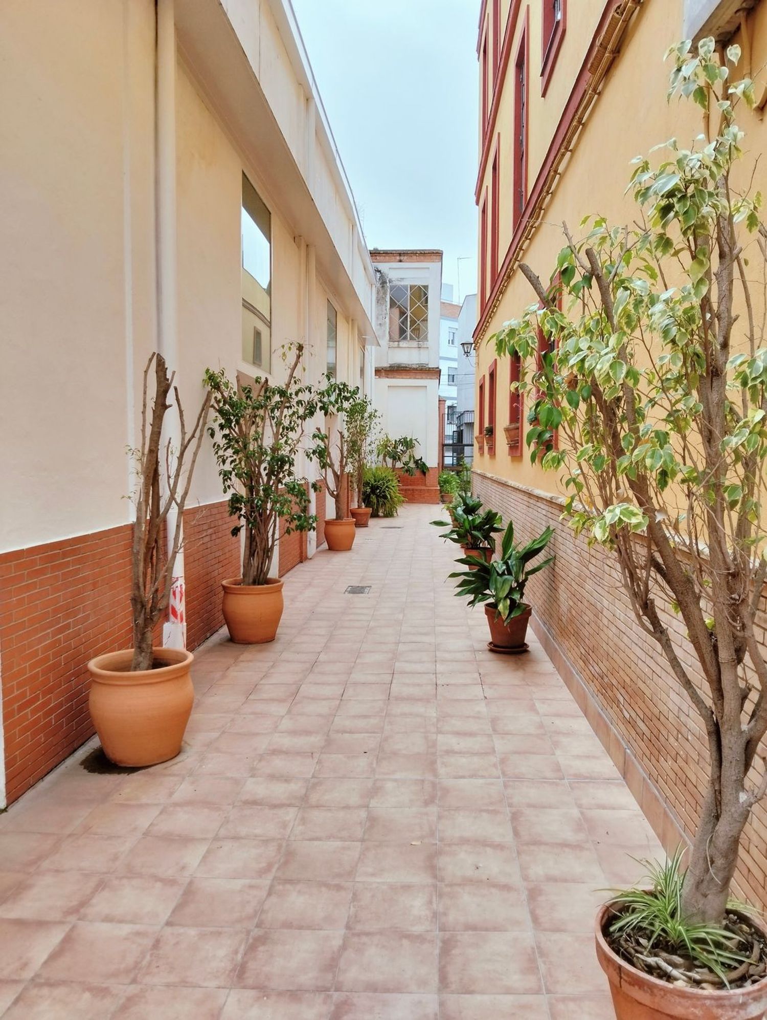 Piso en Calle Crédito, 2, Plaza de la Gavidia-San Lorenzo - Foto 5