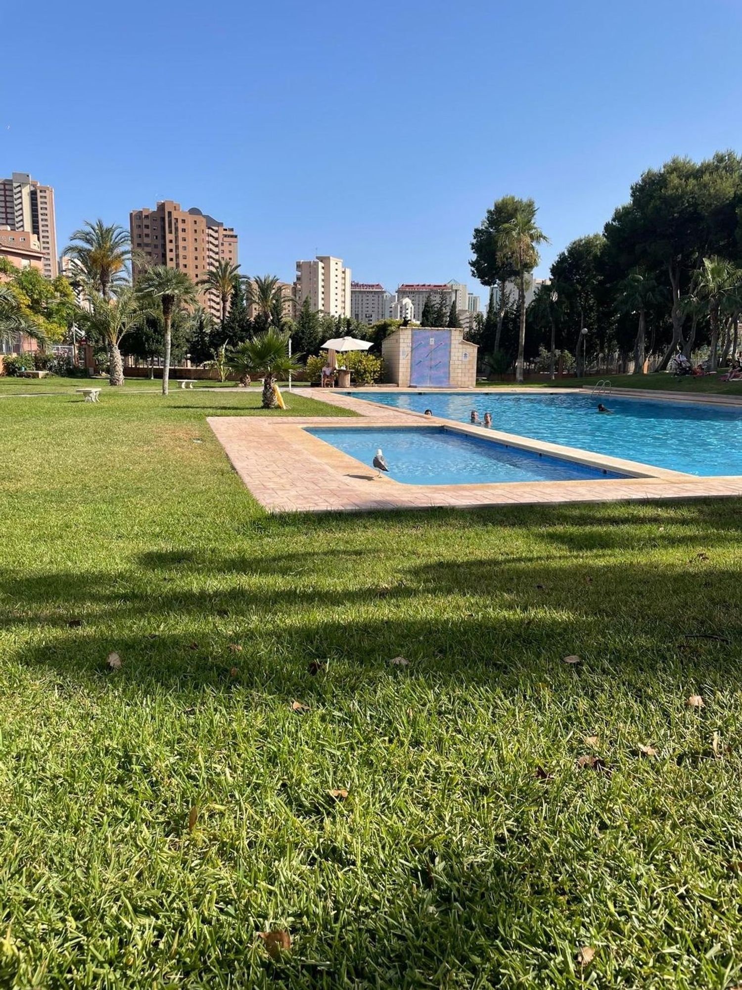 Piso en Calle de Dénia, 4, Playa de Poniente, Playa de Poniente - Foto 16