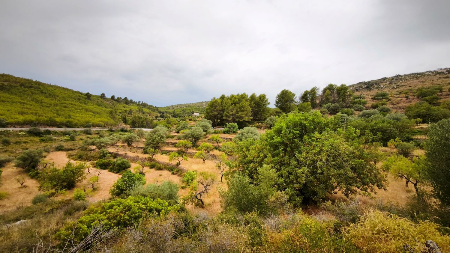 Masía en Masía en Partida Ponsa s/n - Foto 16