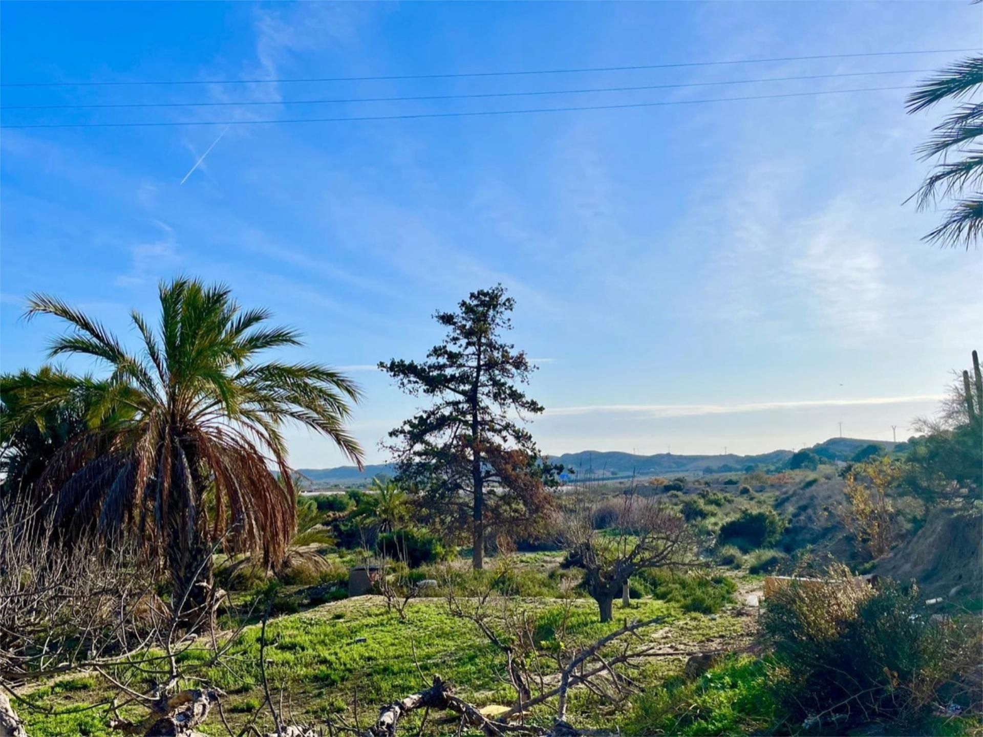 Finca rústica en  Camino Viejo de Saladas 10 - Foto 10