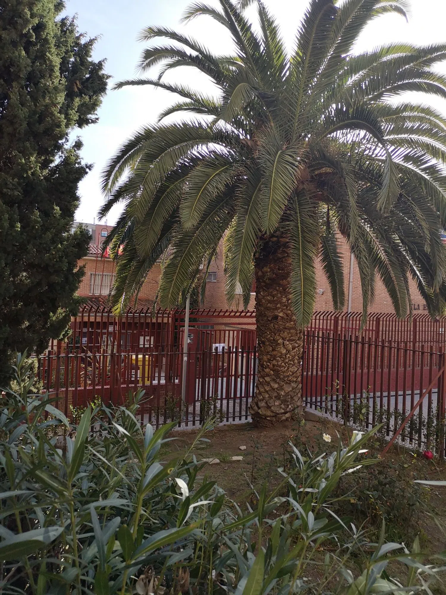 Piso en calle de la Estrella Polar, 12 - Foto 23