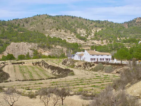 Casa independiente en Partida Almadrava, 1 - Foto 1