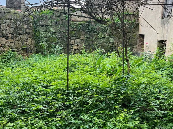 Casa rural en Maestro Manuel Fernández, 32 - Foto 7
