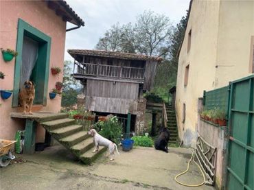 Chalet en Salas Asturias - Foto 4