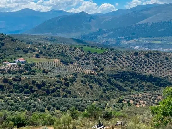 Casa rural en Cortijo Santa Teresa, 816 - Foto 18