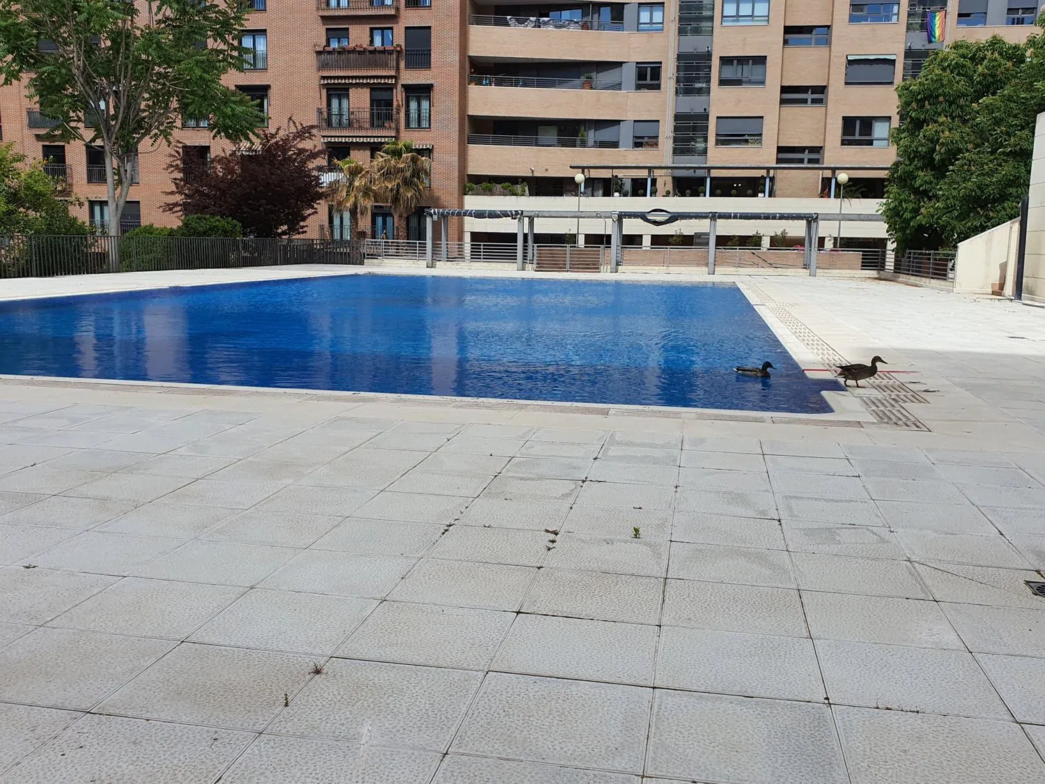Piso en calle Juan Martín, el Empecinado, 23 - Foto 17