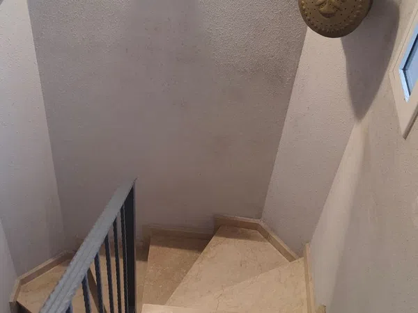 Casa o chalet independiente en Avenida dels Països Catalans, 10 - Foto 7