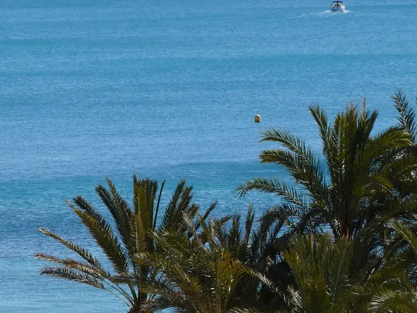 Estudio en Callejón del Pal, 7, Platja Vila Joiosa, Platja Vila Joiosa - Foto 12