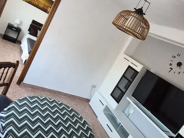 Piso en Avenida Antonio Hurtado, 20, Centro, Centro - Foto 2