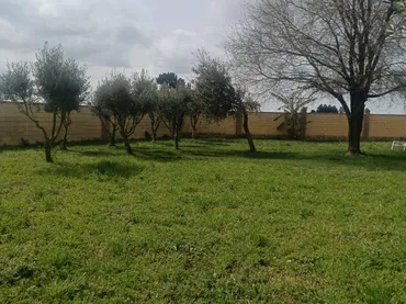 Finca rústica en  Camino Alcornocal 361 - Foto 9