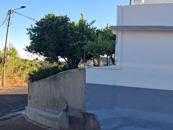 Casa o chalet independiente en Santa Maria de Guia de Gran Canaria - Foto 4