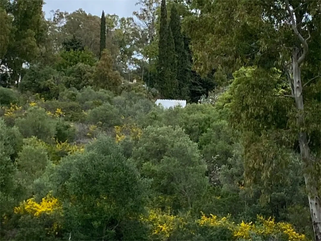 Chalet en  Calle de la Palmera 6 - Foto 36