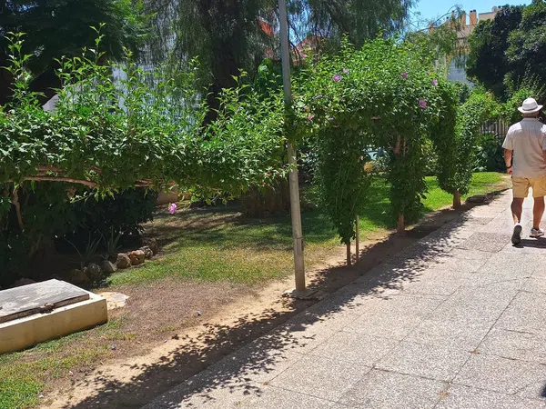 Piso en Avenida Acapulco, 15, Los Boliches, Los Boliches - Foto 40