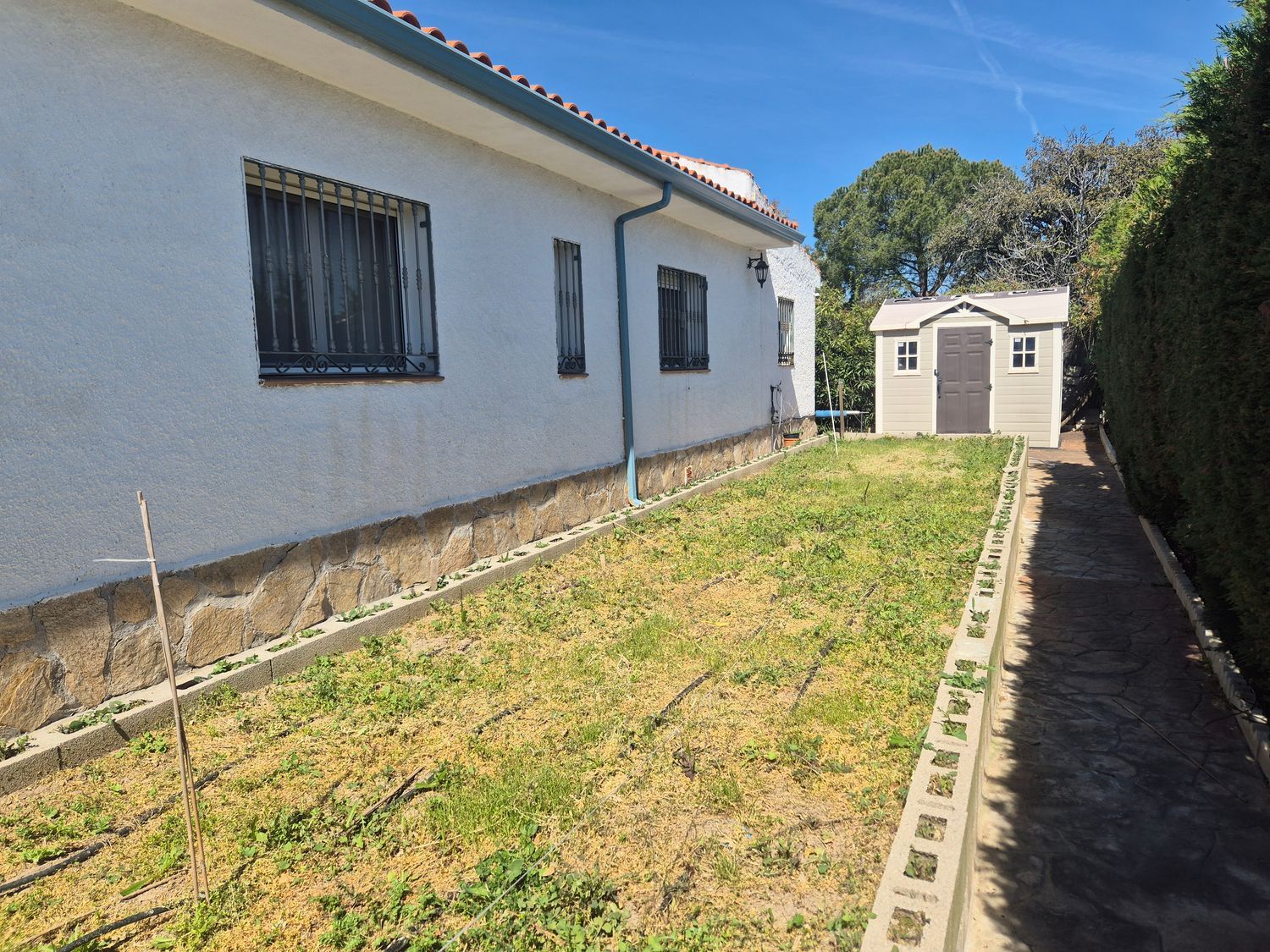 Casa o chalet independiente en Urbanización Lago del Jaral, 245 - Foto 24