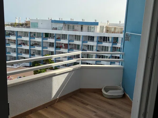 Piso en Avenida J.M. Galván Bello, 20, Golf del Sur-Amarilla Golf, Golf del Sur-Amarilla Golf - Foto 14